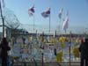 DMZ�̎��R�̋�